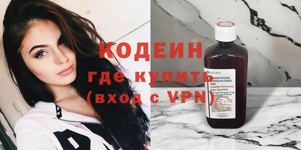 индика Нязепетровск