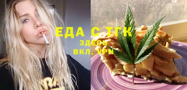 индика Нязепетровск