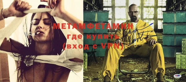 шишки Осинники