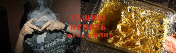индика Нязепетровск