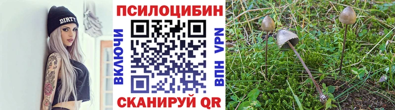 блэк спрут ССЫЛКА Зубцов Псилоцибиновые грибы мухоморы